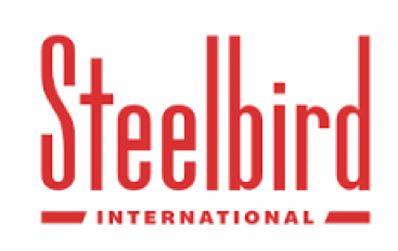 Steelbird Genuine Parts